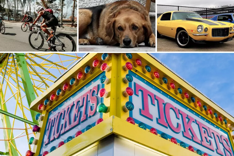 A Fair, Car Show, Art Show, Triathlon All Happening This Weekend