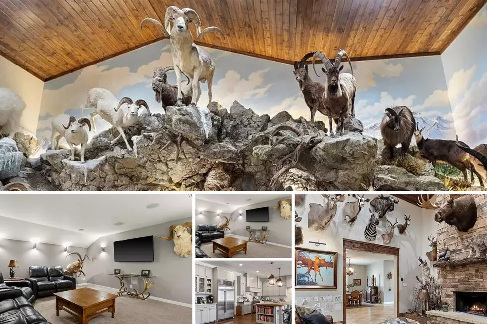 A Mt. Pleasant Home Resembles The Brookshire's Wildlife Museum