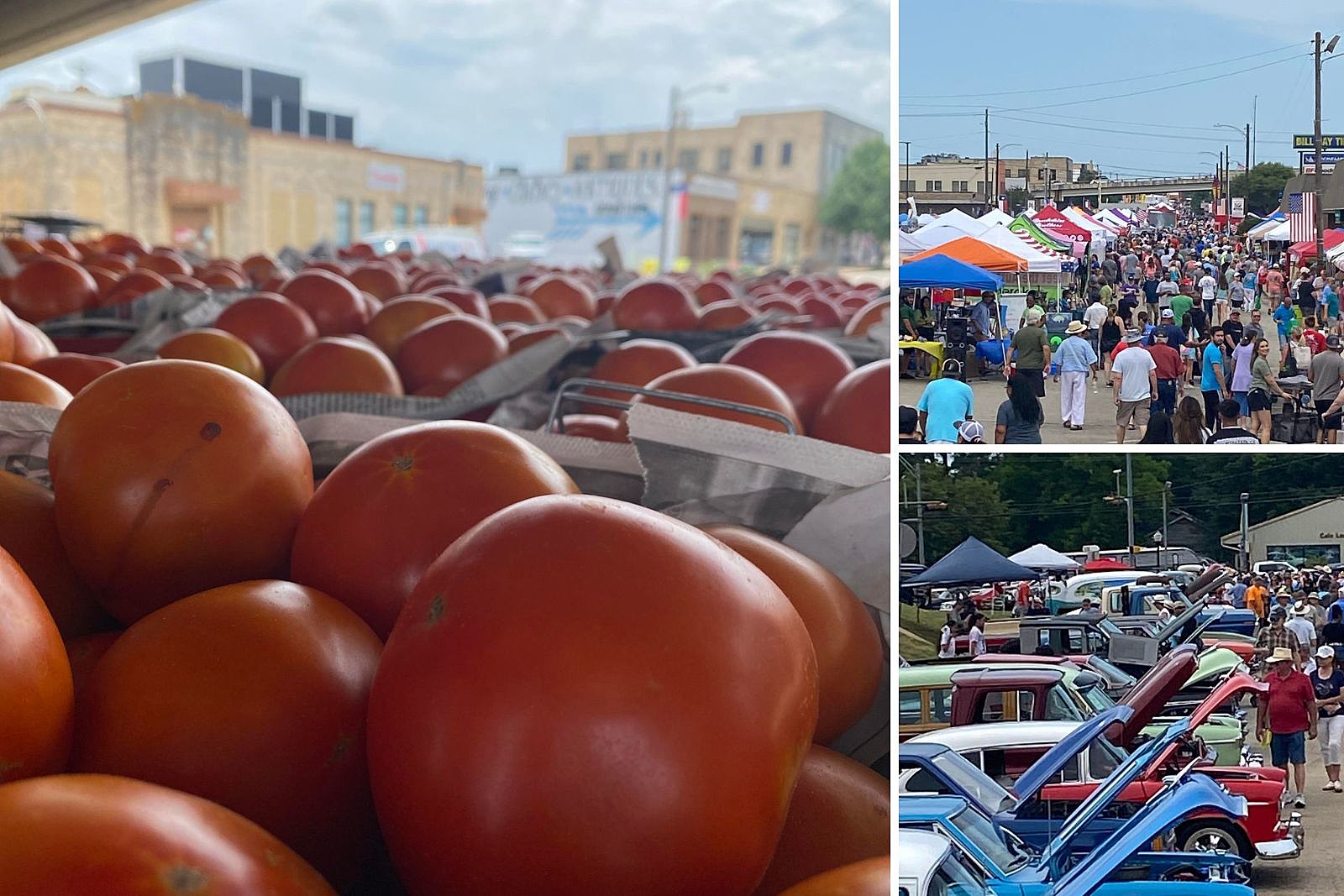 Fest Is Weeklong Celebration Of The Tomato In J'ville