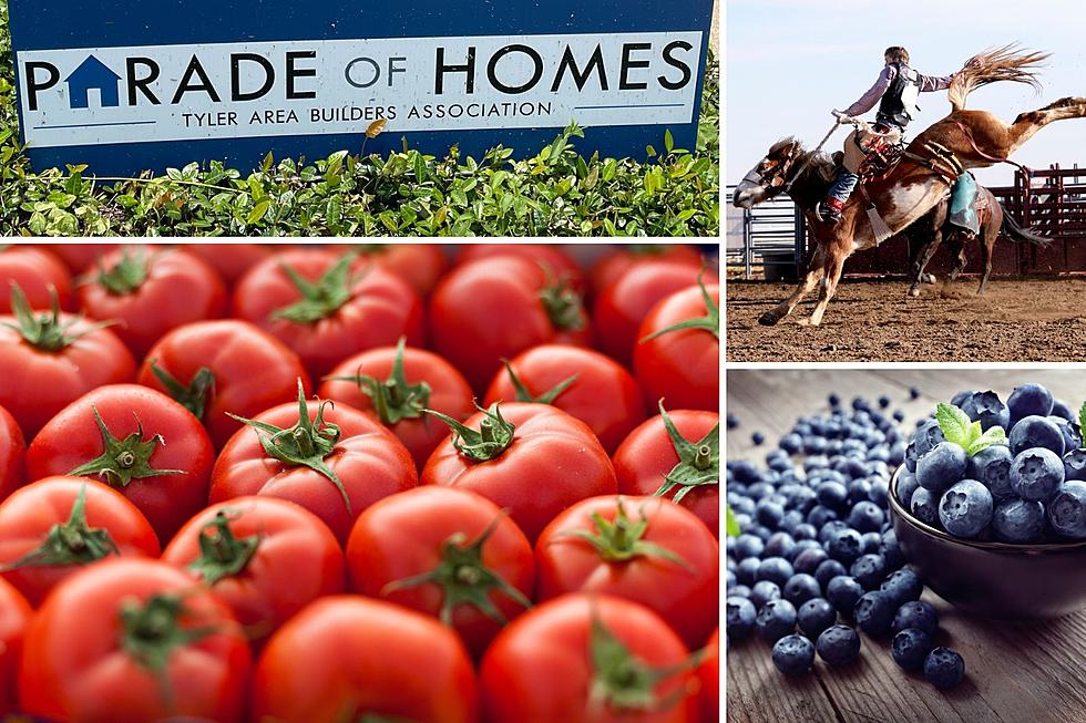 Tomatoes, Blueberries And A Rodeo Among The 7 Big Things Happening In East Texas This Weekend