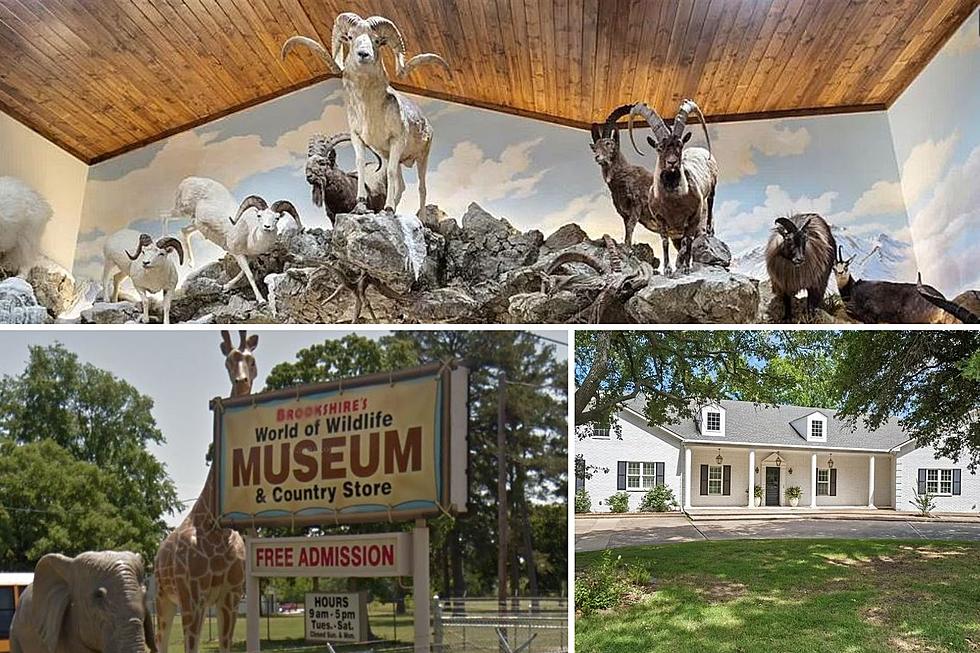 This Mt. Pleasant Home Resembles Old Brookshire's Wildlife Museum