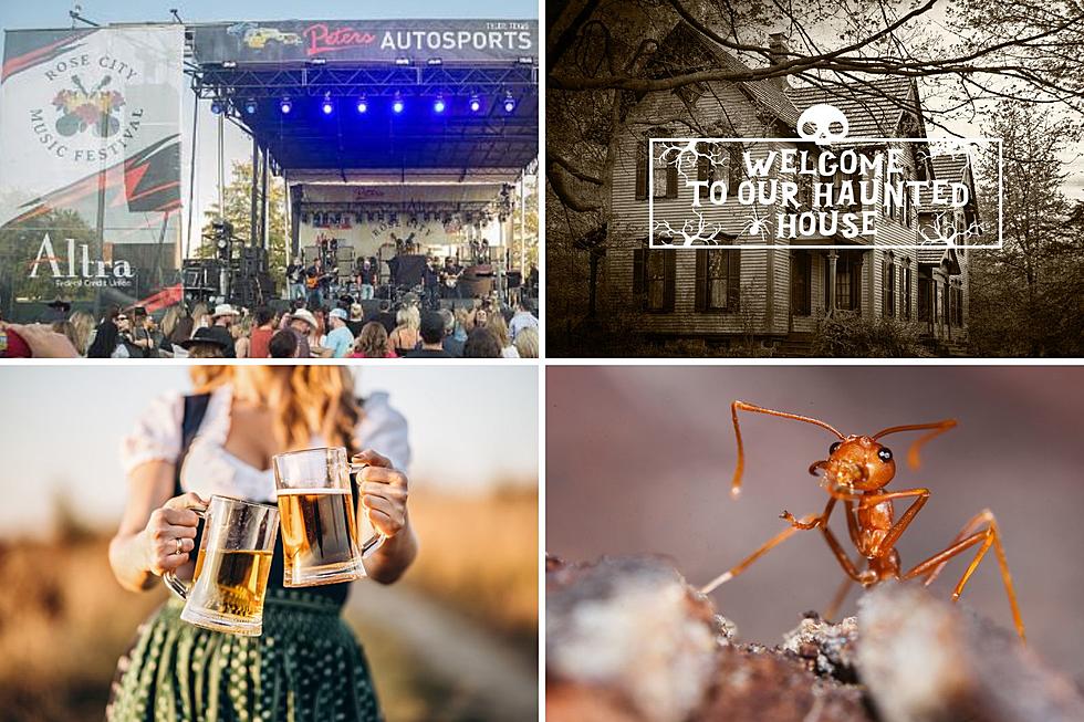12 Exciting Festivals And Events Around East Texas This Weekend