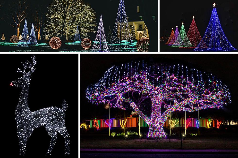 10 Texas Christmas Light Parks That Will Purely Delight You