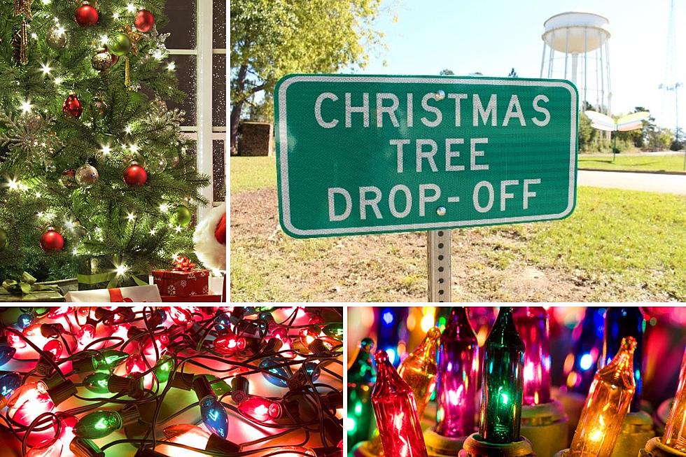 Recycle Your Once Beautiful Christmas Tree In Tyler, Texas