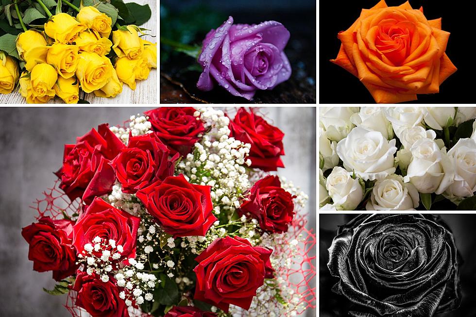 Choosing The Right Color Of Roses For Valentine&#8217;s Day: A Guide