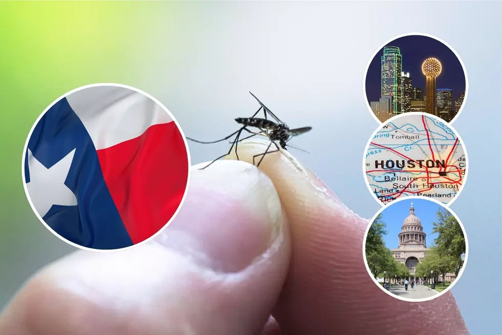 Is East Texas Among The Most Mosquito Infested Cities In The US?