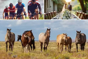 12 Things To Do Around East Texas This Weekend - July 18