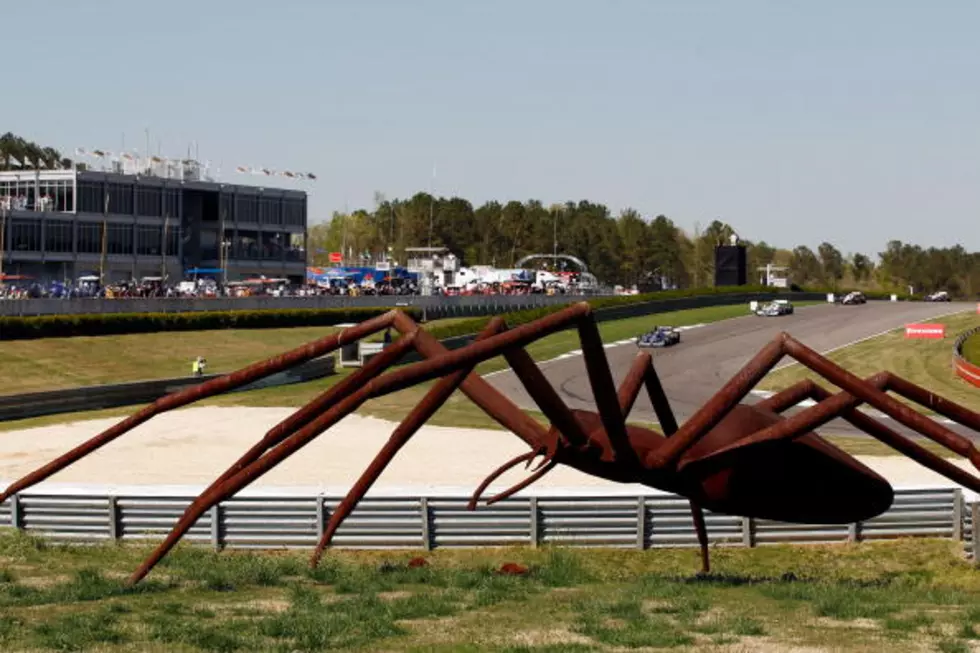 Spider Checkers Herself Out [VIDEO]