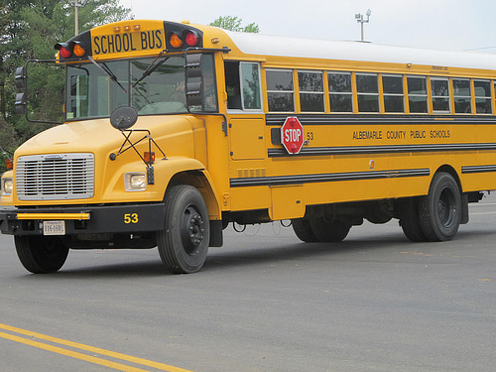 Mother Arrested for Having Kids Fight School Bus Bully [VIDEO, POLL]