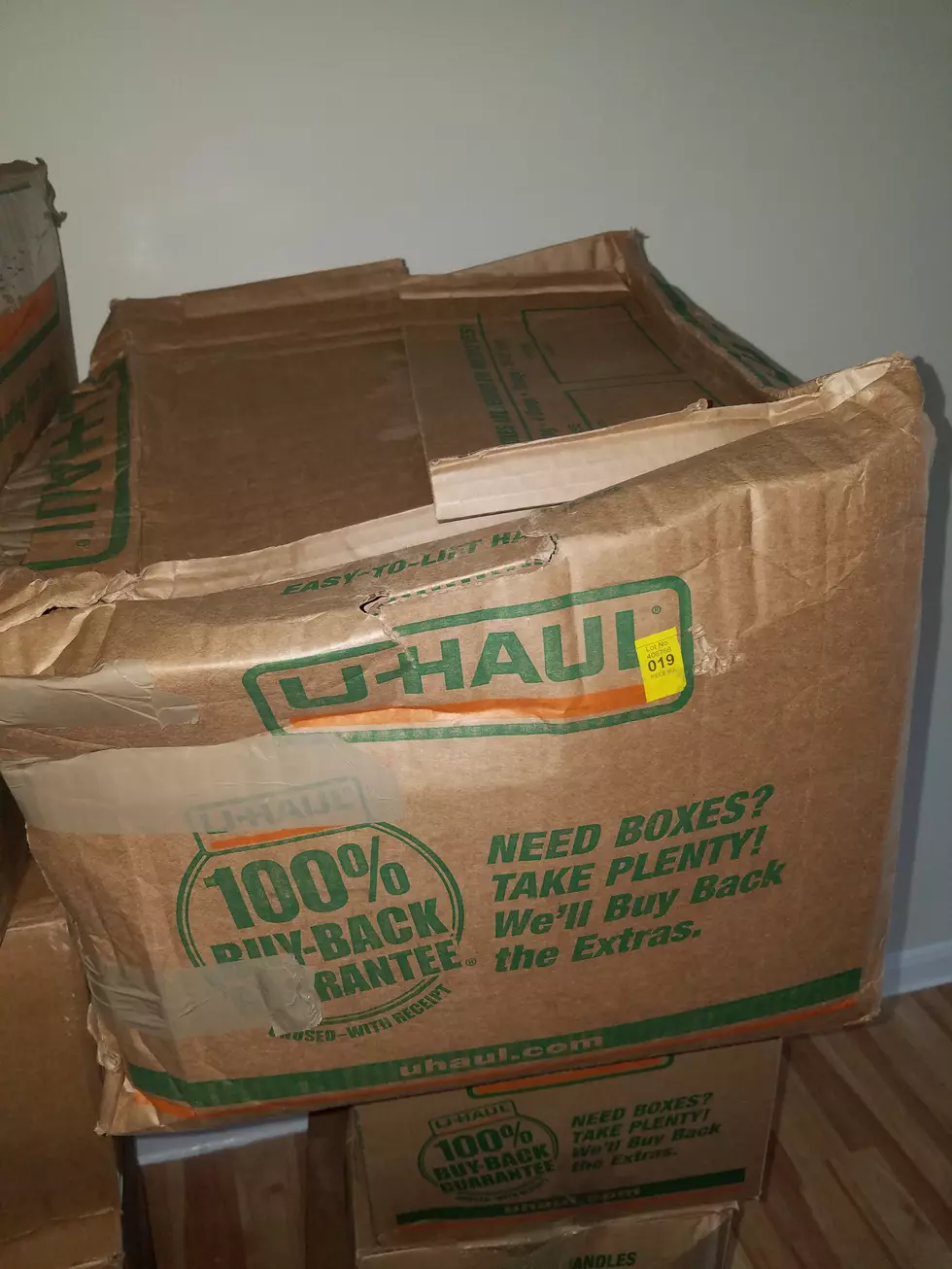The Joys Of Moving: Seriously, Look at This Box!