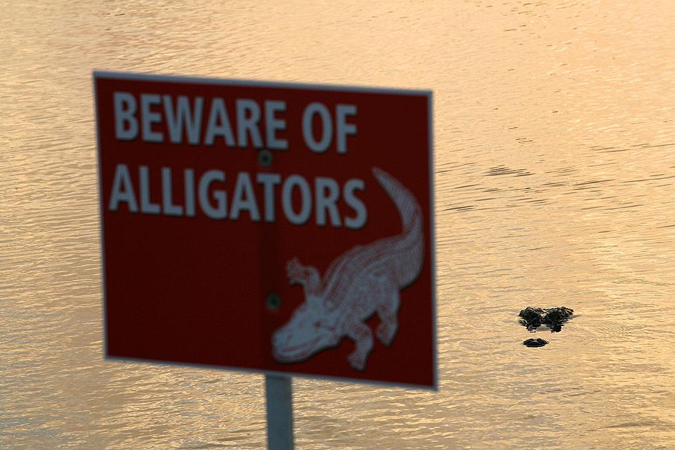 Two East Texas Teens Trapped By Alligator in Close Call