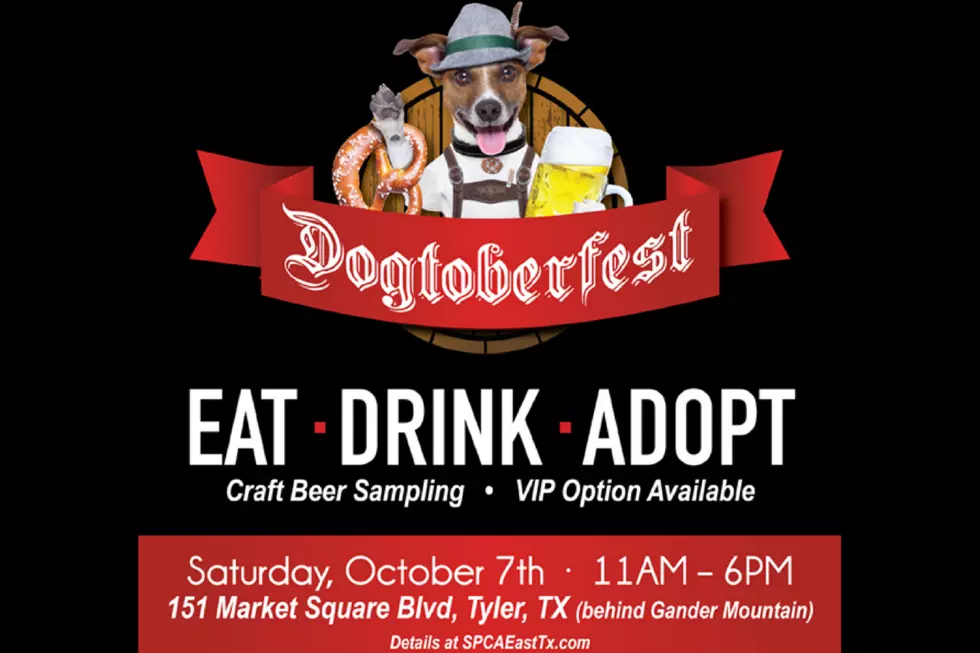 Dogtoberfest Will Bring Out All Dog, Beer Lovers in Tyler on October 7