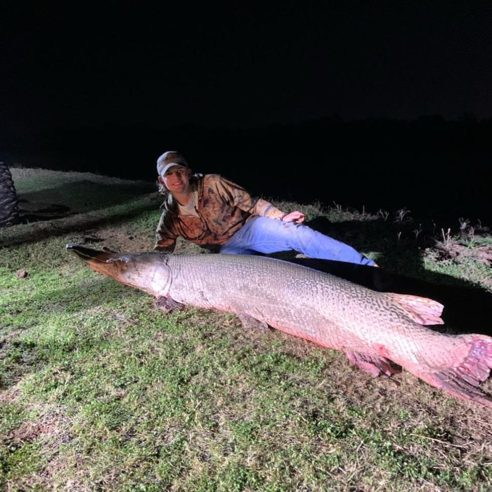 Texas Teen Catches Near Record Massive Alligator Gar