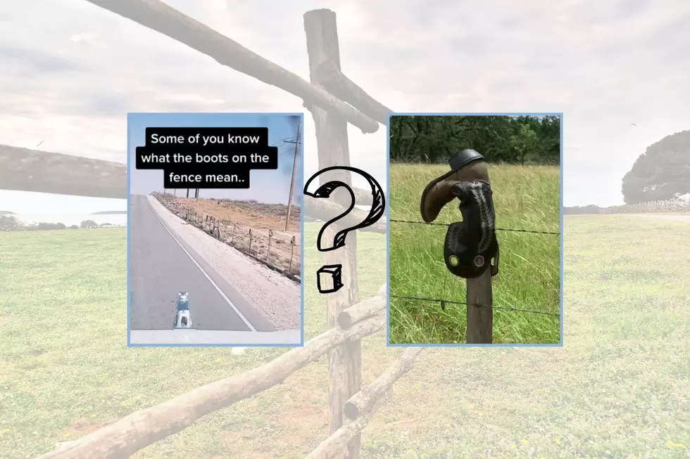 How to React With Cowboy Boots on a Fence Post in Texas