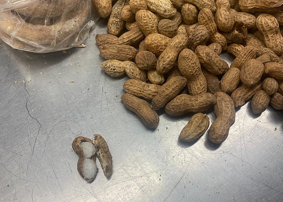 Feds Seize Crystal Meth Hidden In Peanuts Headed For East Texas
