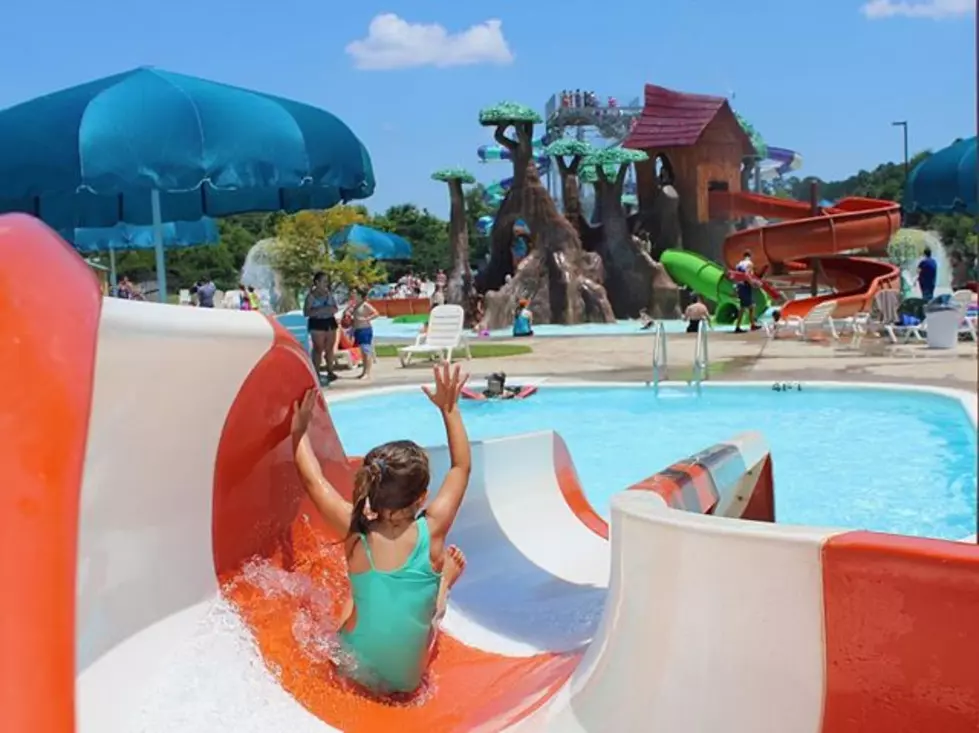 Win A Family 4 Pack Of Passes To Splash Kingdom Inside The Kiss App