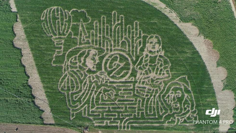 Get Lost And Found In This Texas Corn Maze