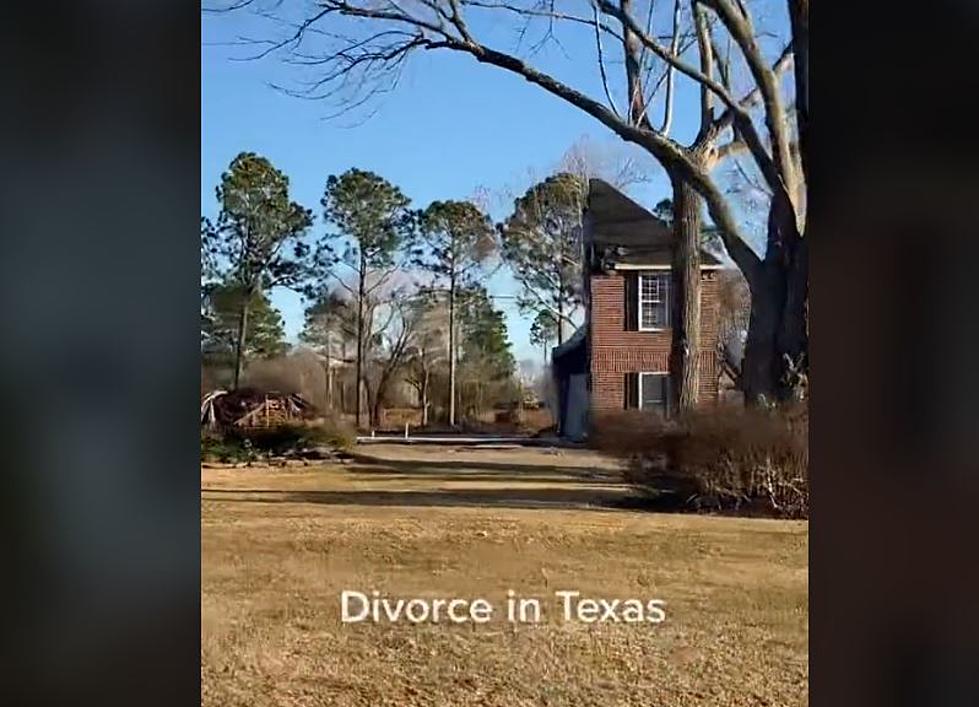 Somebody In Texas Has A Damn Good Divorce Attorney (Or Not)