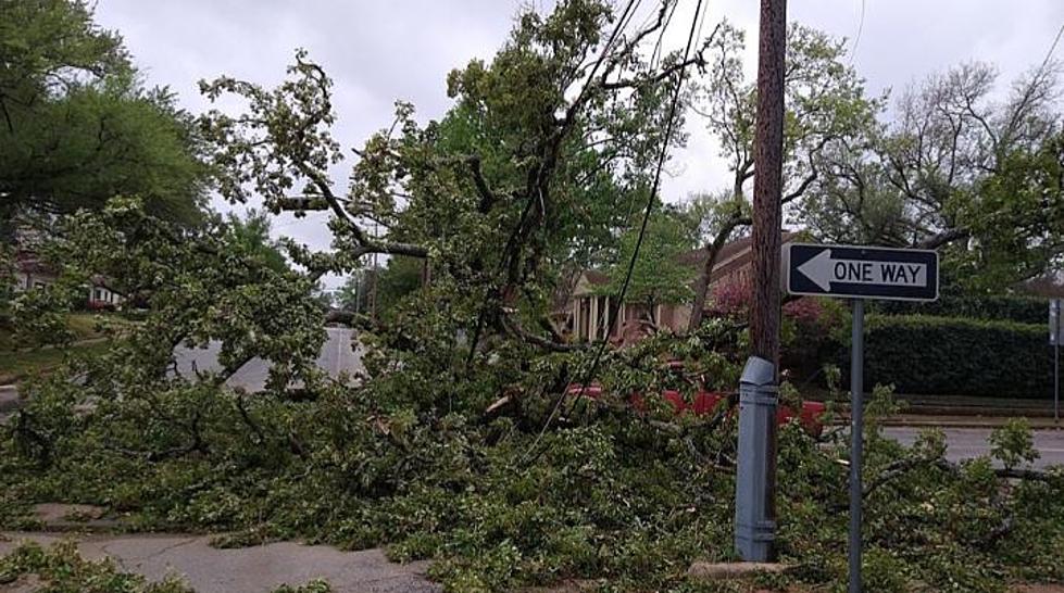 City Of Tyler Continues To Clear Roads & Streets Affected by Tuesday Storms