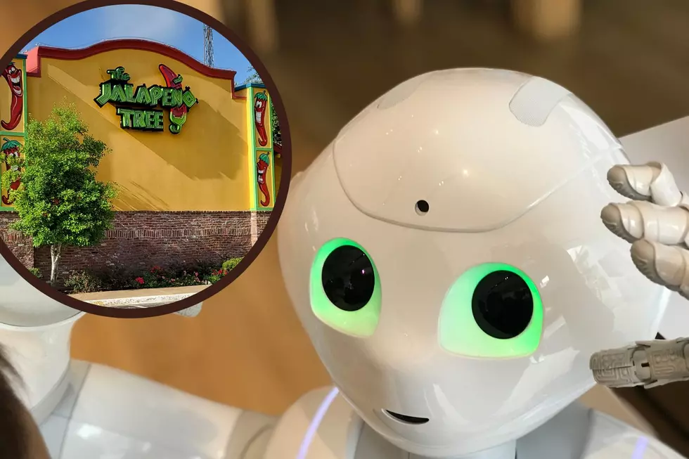 Tyler, TX Restaurant The Jalapeno Tree Introduces Robot Hosts