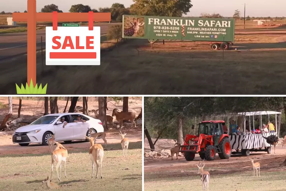 A Drive Thru Safari Is For Sale In Robertson County, Texas