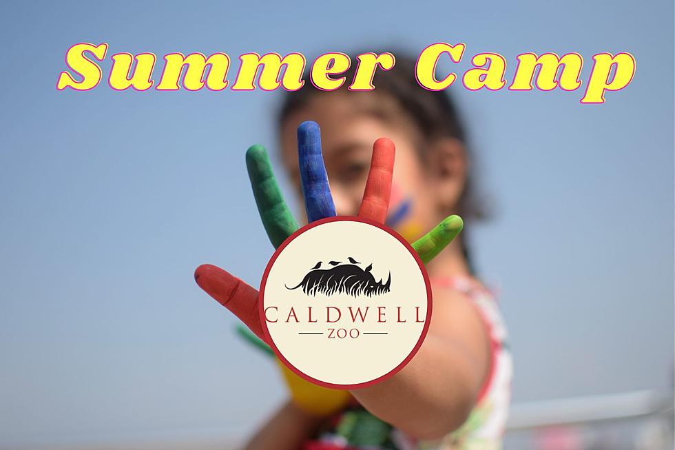 Get Signed Up For Caldwell Zoo's Summer Camp For Tyler, TX Kids