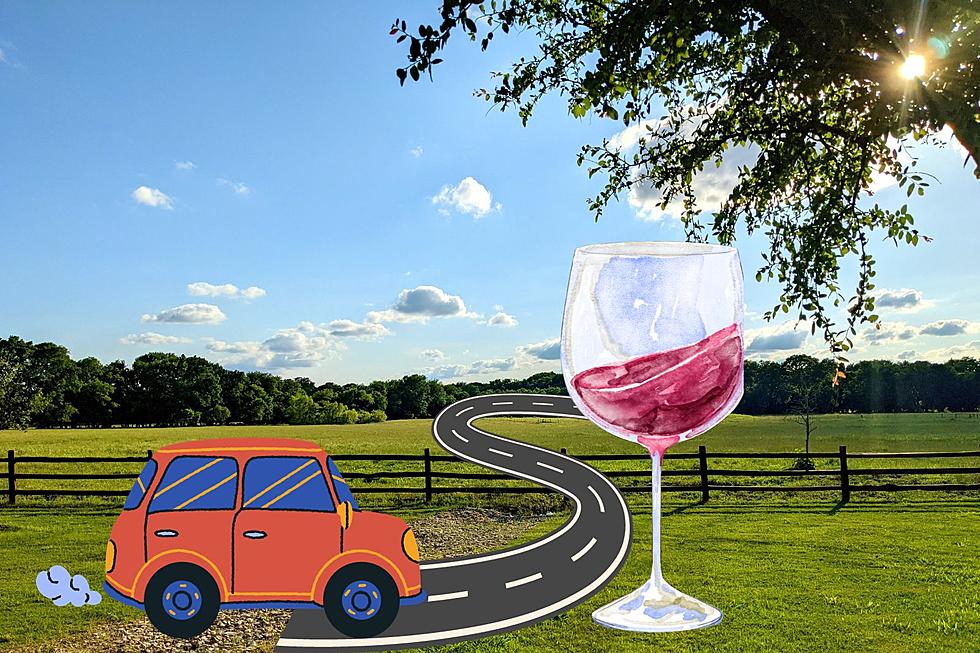 The Most Scenic Drive In Texas Takes You Through Wine Country