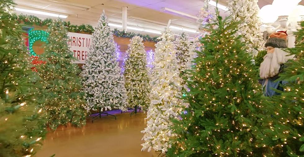 Christmas Decor - Texas #1 Christmas Store - Decorator's Warehouse