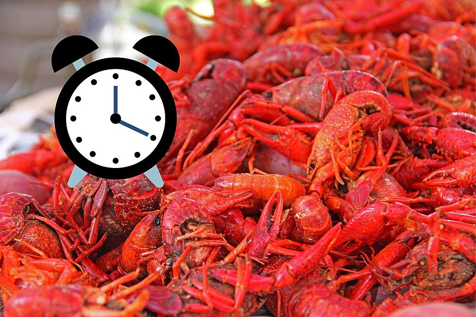 Houston We Have a Problem: Crawfish Season in Texas in Trouble