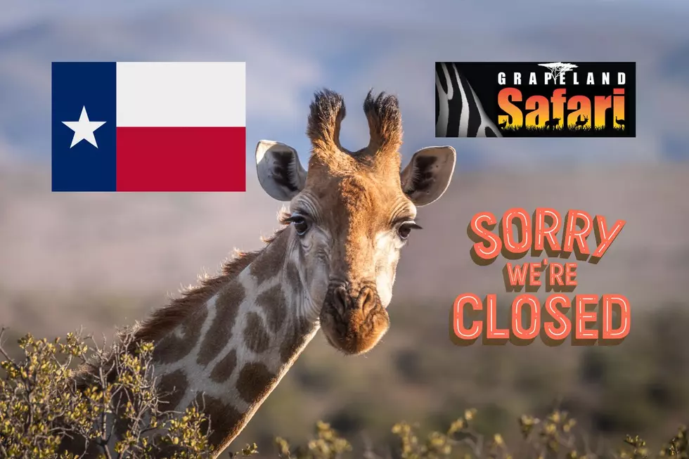 Beloved Texas Drive-Thru Safari Attraction Will Be Closing For Good