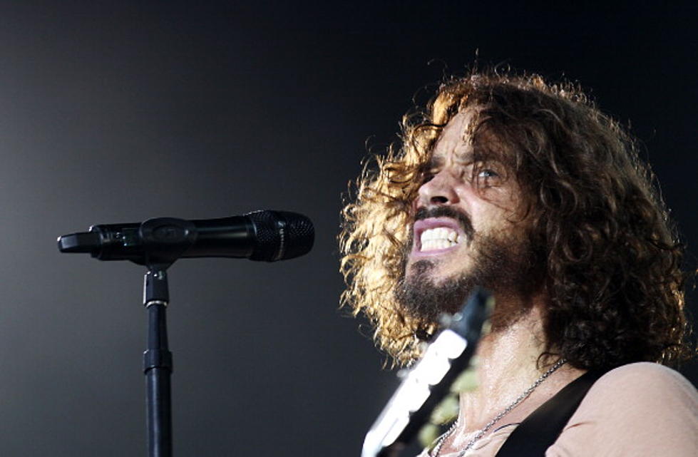 Chris Cornell Defends Stranger Against Anti-Gay Bullying in Seattle Airport