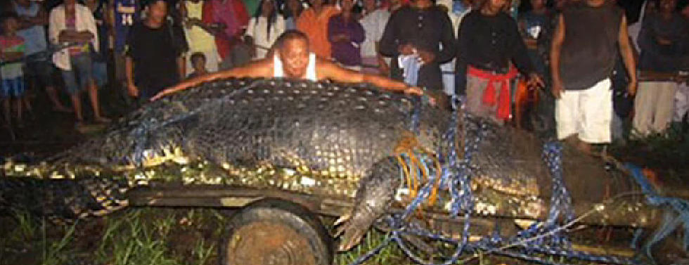 World Record Crocodile Captured In Philippines