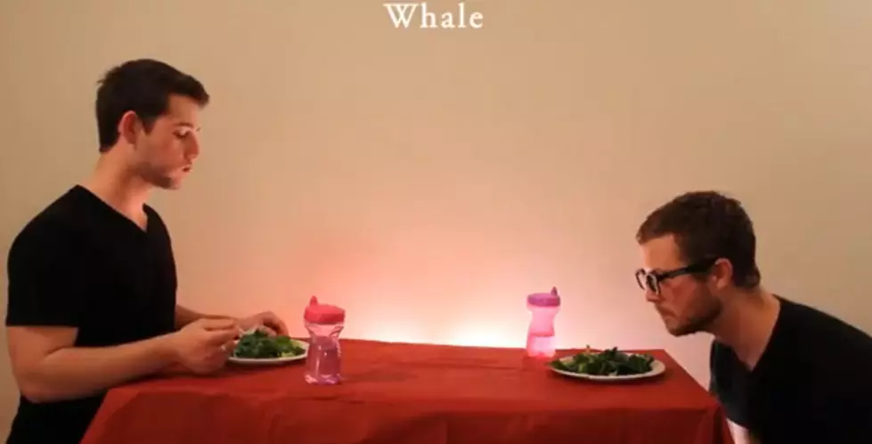 How Animals Eat Video Goes Viral [VIDEO]