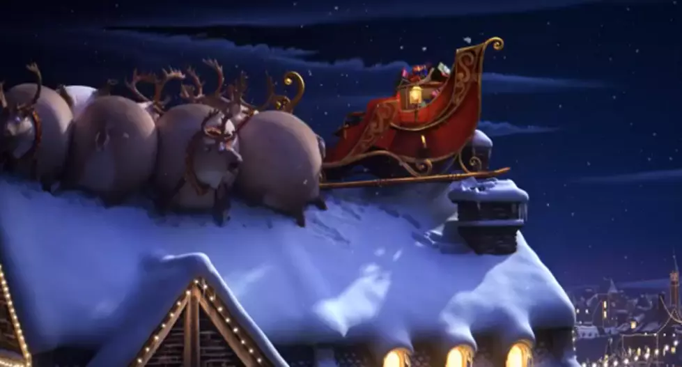 Furry Friend Friday – If Animals Were Round For Christmas [VIDEO]