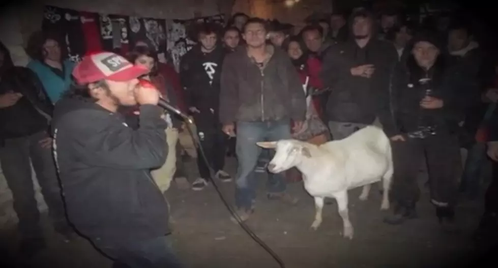 Famous Heavy Metal Loving Goat Has Passed Away [VIDEO]
