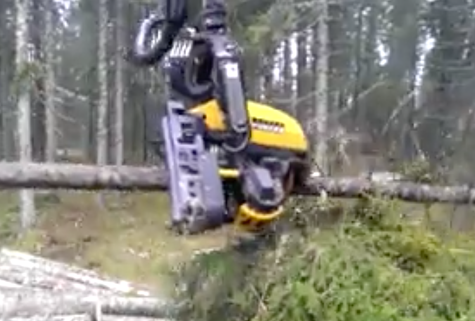The 2015 Bear C6 Forest Clearing Monster is the Ultimate Tree-Clearing Machine