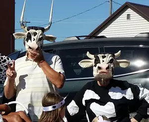 The Secret To Marriage Success Involves Dressing Like Cows