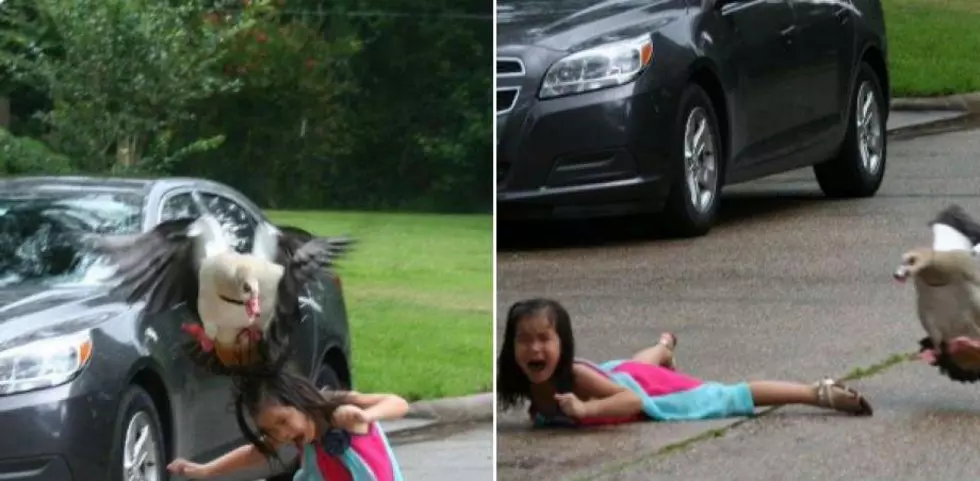 5 Year Old Texas Girl Has A Run In With A Goose and Goes Viral