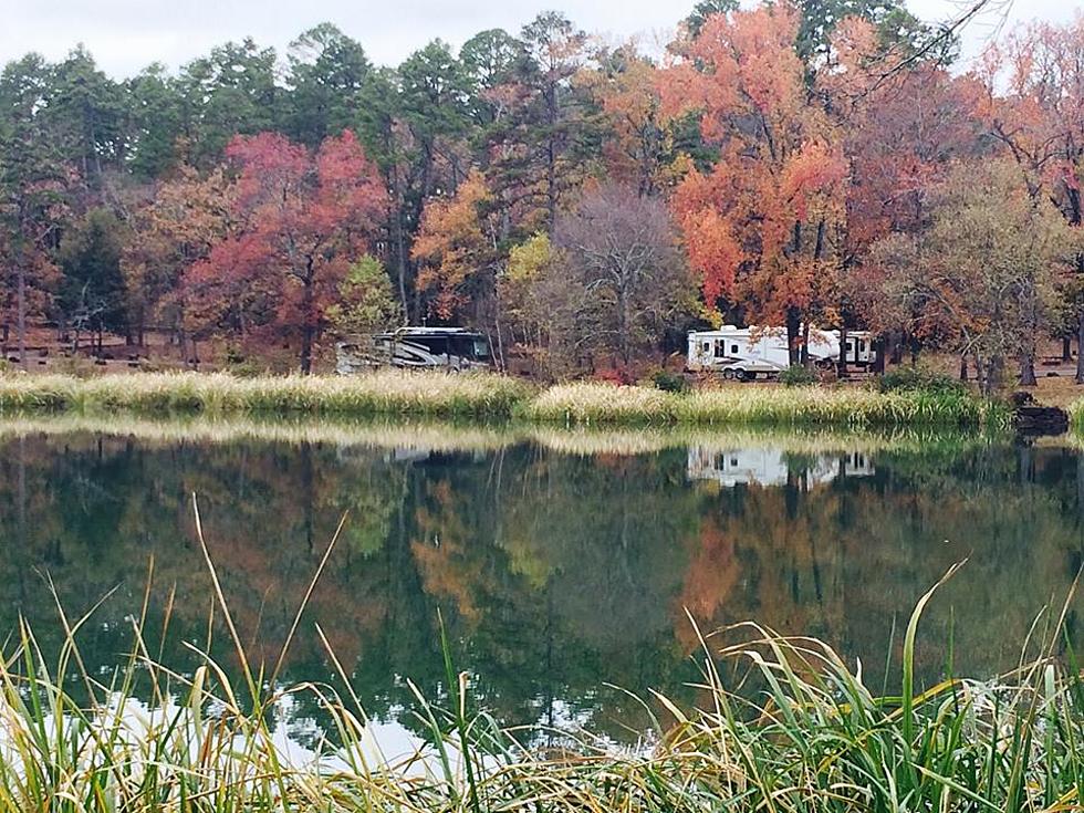 Try This Hidden East Texas Gem in Tyler For Your Next Picnic