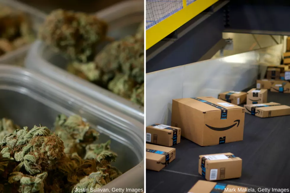Florida Couple Orders Bins on Amazon, Finds 65 Pounds of Marijuana Inside
