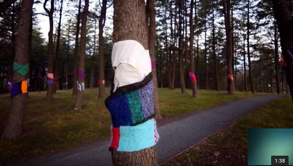 If You See a Scarf on a Tree, Here’s What it Means