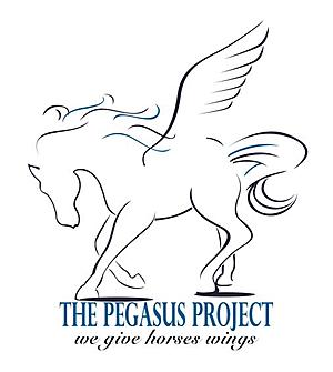 The Pegasus Project In East Texas Gives Horses Wings