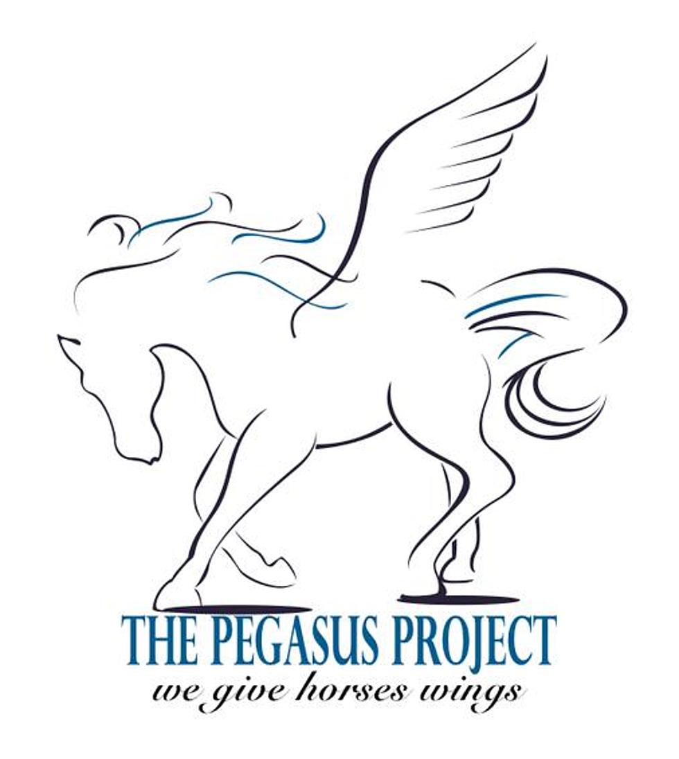 Help The Pegasus Project: North Texas Giving Day Is September 17