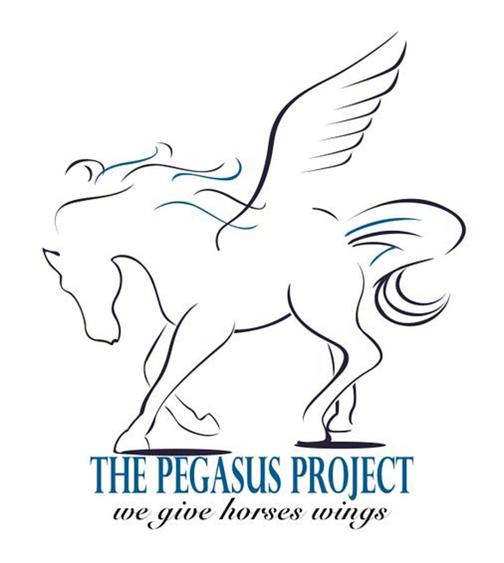 You Can Help the Pegasus Project Rescue Abused Horses in ETX Right Now