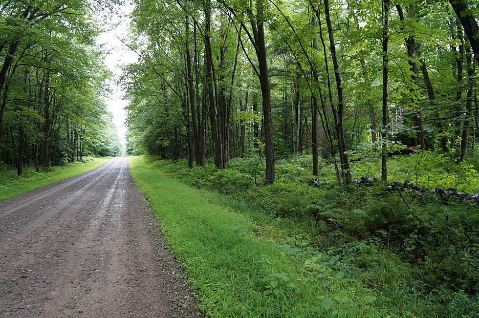 Remember To Take The Back Roads, Too