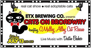 &#8216;Cats On Broadway&#8217; To Feature Adoptable Cats At ETX Brewing Co.