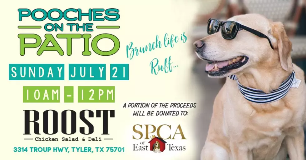 The Next &#8216;Pooches On The Patio&#8217; Set For July 21 At Roost In Tyler