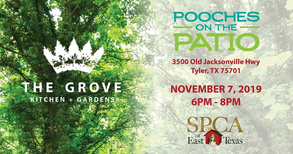 &#8216;Pooches On The Patio&#8217; At The Grove In Tyler November 7