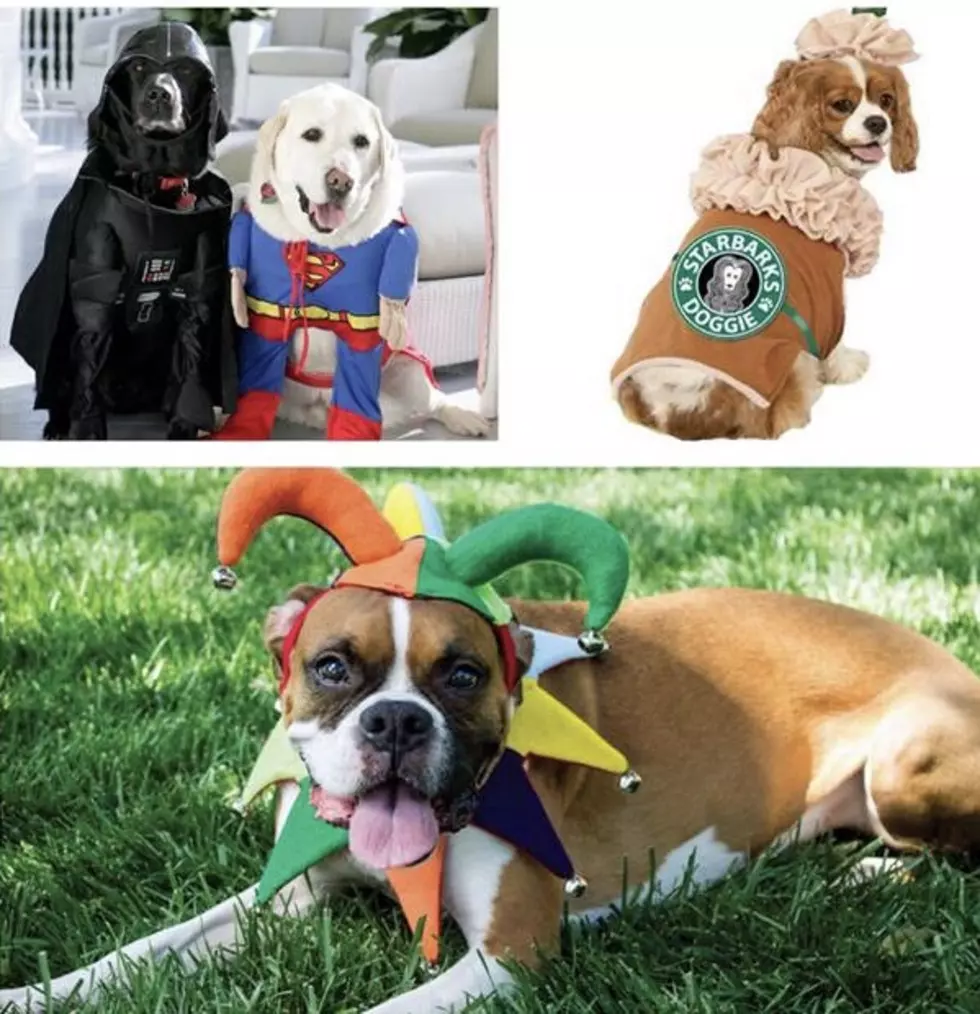 ‘Waggers Trunk-Or-Treat’ At Bossart Bark Park October 27