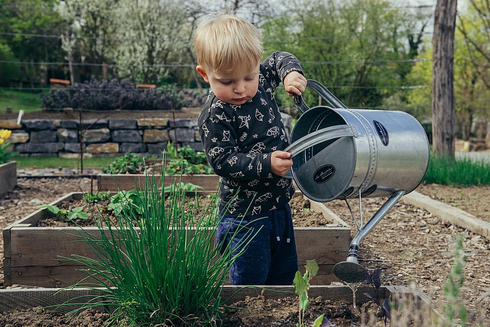 September Must Do&#8217;s for ETX Gardening? Experts Share Their Advice Here.